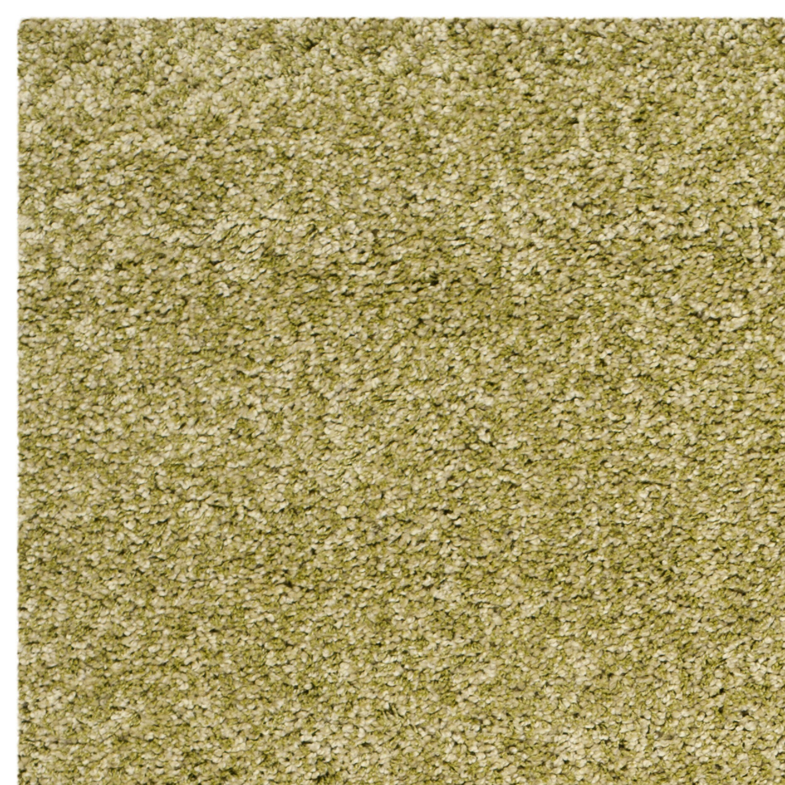 Safavieh Santa Monica Shag Collection Ainsley Solid Area Rug