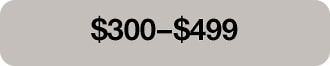 $300 - $499