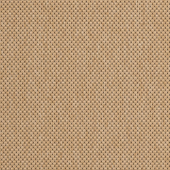 Safavieh Courtyard Collection Trina Bordered Indoor/Outdoor Area Rug
