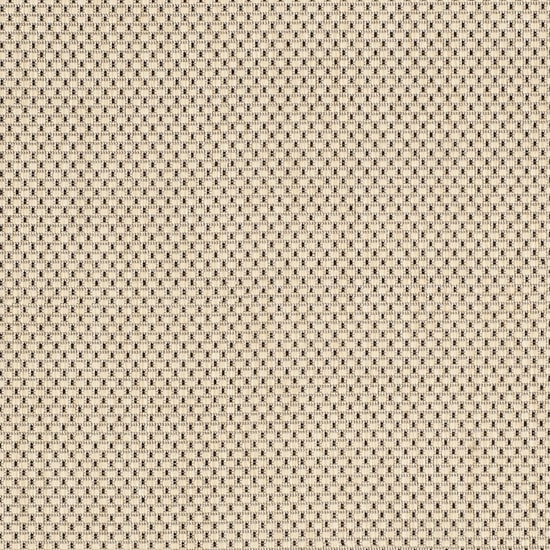 Safavieh Courtyard Collection Trina Bordered Indoor/Outdoor Area Rug