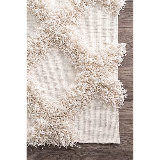 nuLoom Francene Diamond Trellis Shaggy RectangularRug