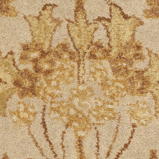 Safavieh Rectangular Rugs