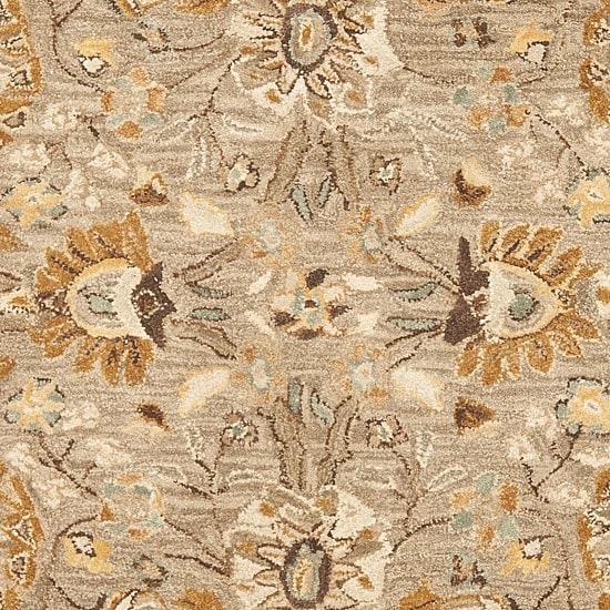 Safavieh Delmar Traditional Area Rug