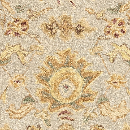 Safavieh Teagan Traditional Area Rug