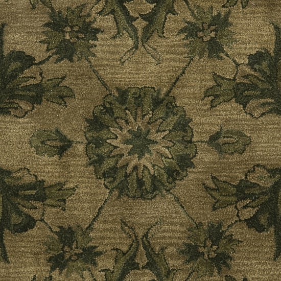 Safavieh Tokora Traditional Area Rug