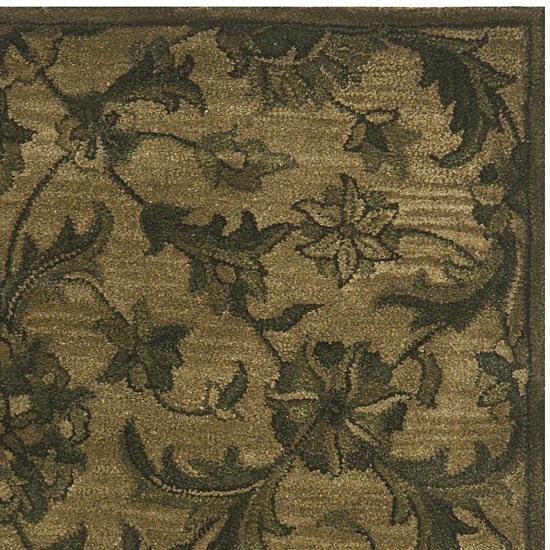 Safavieh Tokora Traditional Area Rug