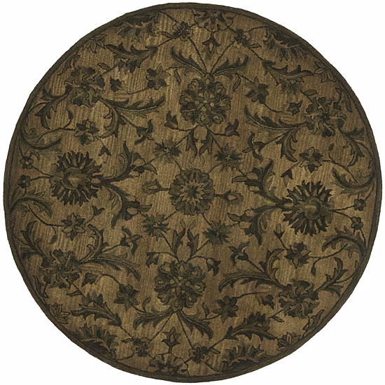 Safavieh Tokora Traditional Area Rug