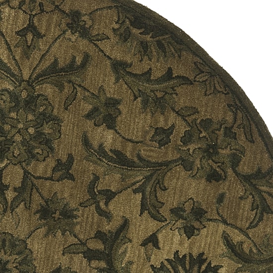 Safavieh Tokora Traditional Area Rug