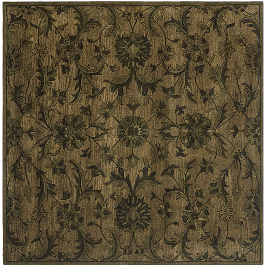 Safavieh Tokora Traditional Area Rug