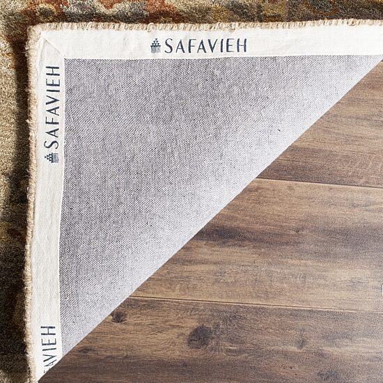 Safavieh Linnet Traditional Area Rug