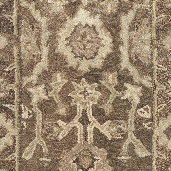 Safavieh Jeneka Traditional Area Rug