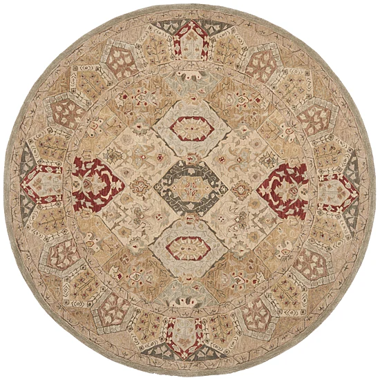 Safavieh Rishi Traditional Area Rug