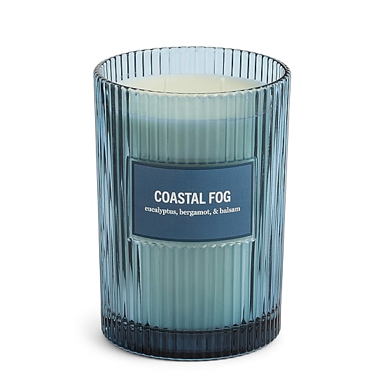 Martha Stewart 19oz Coastal Fog 2-Wick Scented Jar Candle