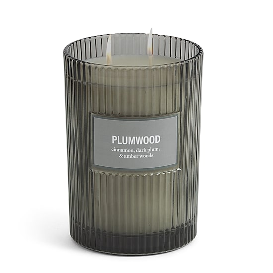 Martha Stewart 19oz Plumwood 2-Wick Scented Jar Candle
