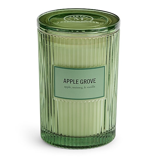 Martha Stewart 19oz Apple Grove 2-Wick Scented Jar Candle