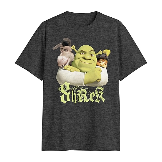Mens Crew Neck Short Sleeve Classic Fit Shrek Big and Tall Graphic T-Shirt