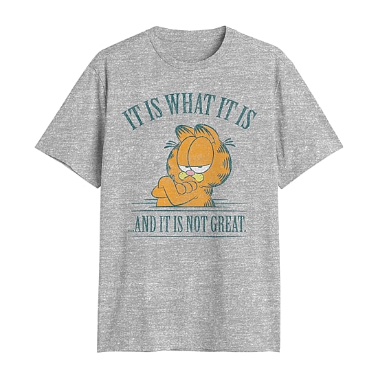 Novelty Mens Crew Neck Short Sleeve Classic Fit Garfield Big and Tall Graphic T-Shirt