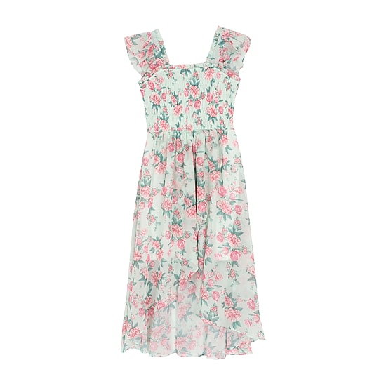 Rare Editions Big Kid Girls Flutter Sleeveless Floral Maxi Dress