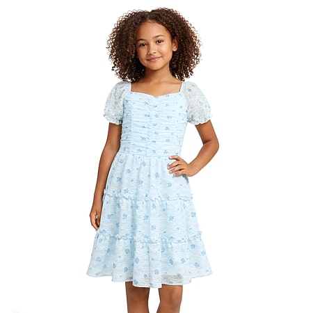 lilt little girls short sleeve velvet a-line dress Lilt Little Girls Short Sleeve Tutu Dress, Color: Pink