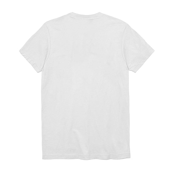 Mens Crew Neck Short Sleeve Regular Fit WWE Graphic T-Shirt