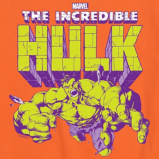 Disney Collection Little & Big Kid Boys Crew Neck Short Sleeve Regular Fit Hulk Graphic T-Shirt
