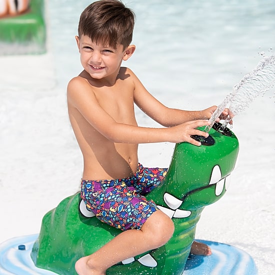 Dolfin Little & Big Kid Boys Swim Trunks