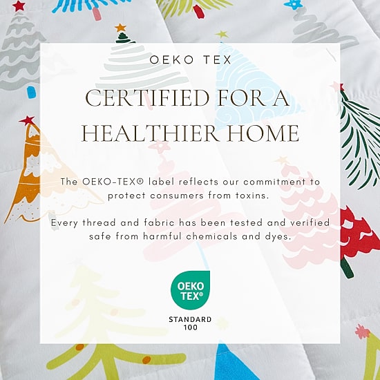 Linery Reversible Winter Lightweight Down Alternative Comforter Set
