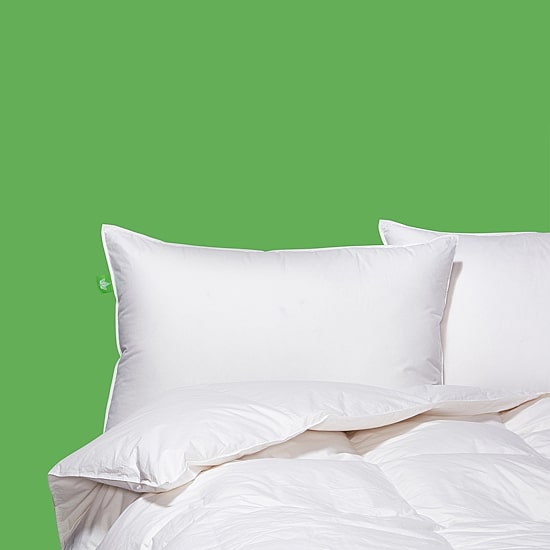 Canadian Down & Feather Company Down Perfect Medium Support Pillow