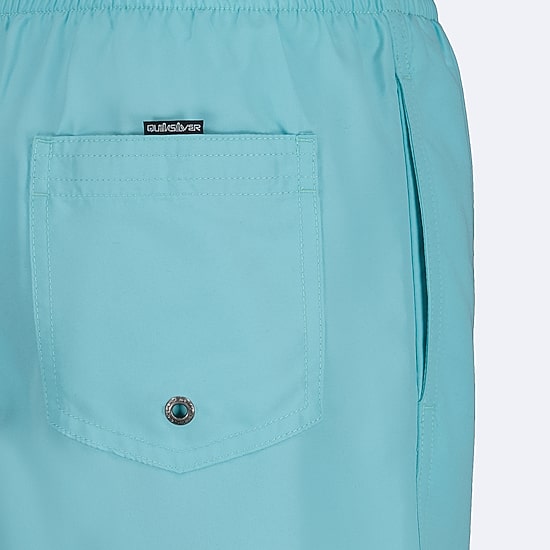 Quiksilver Big Kid Boys Swim Trunks