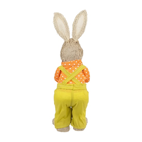 Northlight 16" Standing Boy Rabbit With Carrot Easter Figurine