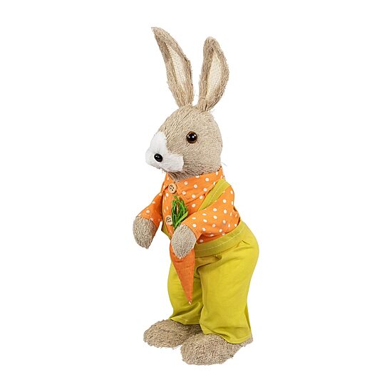 Northlight 16" Standing Boy Rabbit With Carrot Easter Figurine