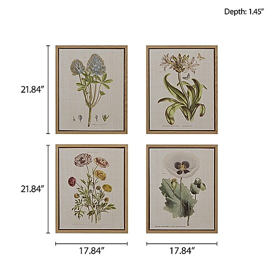 Madison Park Herbal Botany Botanical Illustration 4-pc. Framed Wall Art Sets