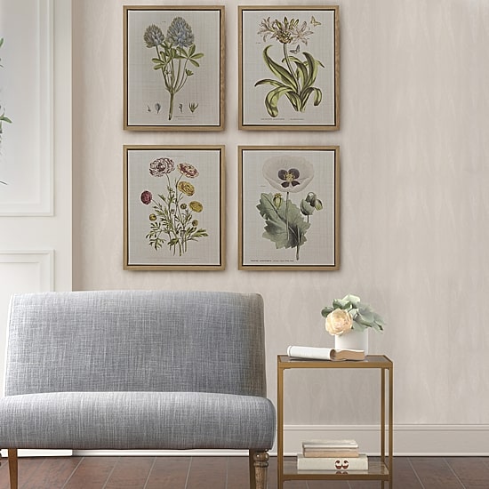 Madison Park Herbal Botany Botanical Illustration 4-pc. Framed Wall Art Sets