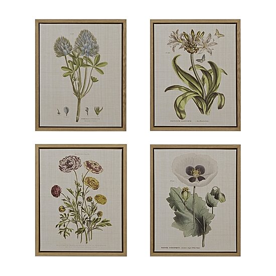 Madison Park Herbal Botany Botanical Illustration 4-pc. Framed Wall Art Sets