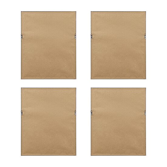 Madison Park Herbal Botany Botanical Illustration 4-pc. Framed Wall Art Sets