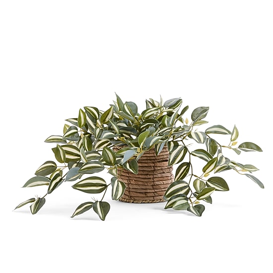 Linden Street 8in Tradescantia Trailing Artificial Plant