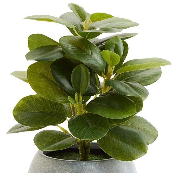 Linden Street 10.75in Rubber Artificial Plant