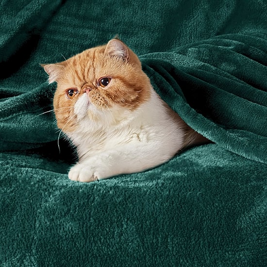 Bedsure® Flannel Solid Midweight Blanket