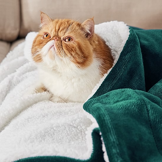 Bedsure® Sherpa Solid Midweight Blanket