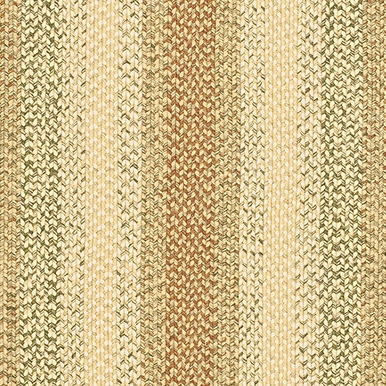 Safavieh Mckenzie Bordered Braided Rug