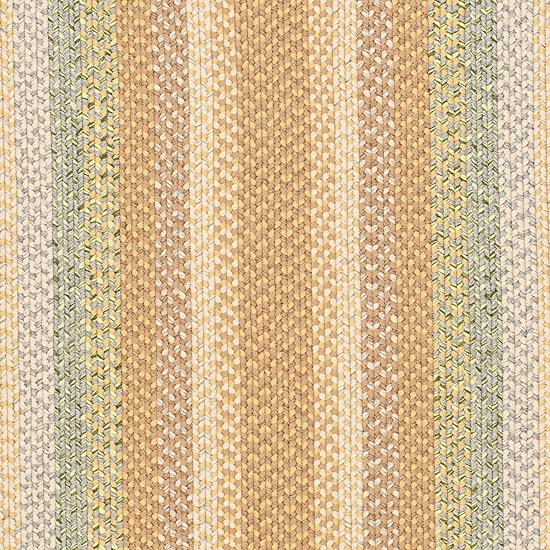 Safavieh Lactrice Bordered Braided Rug