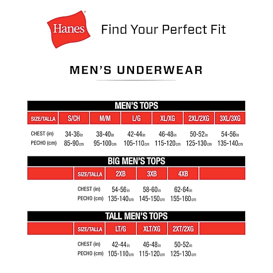 Hanes Mens 3 Pack Short Sleeve Crew Neck Moisture Wicking T-Shirt Big and Tall