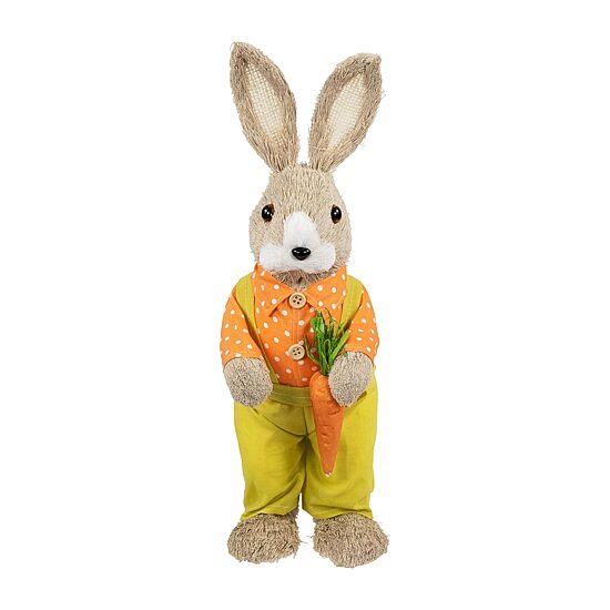 Northlight 16" Standing Boy Rabbit With Carrot Easter Figurine