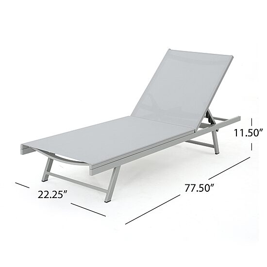 Salton Adjustable 2-pc. Lounge Chair