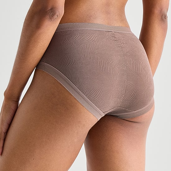 Ambrielle Smooth Lace Brief Panty