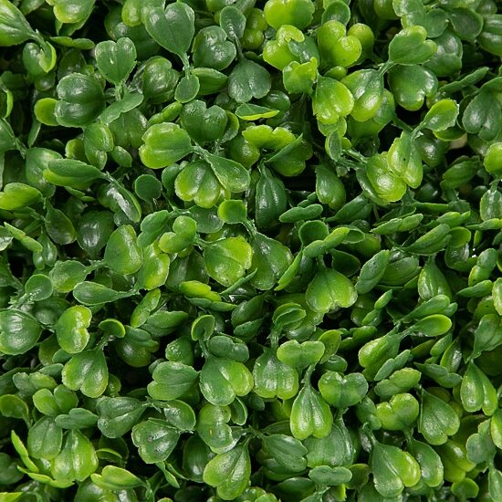 Northlight 16in Two Tone Green Boxwood Artificial Plant
