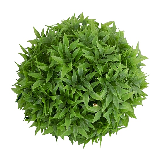 Northlight 3-pc. Solar Lighted Eugenia Artificial Plant