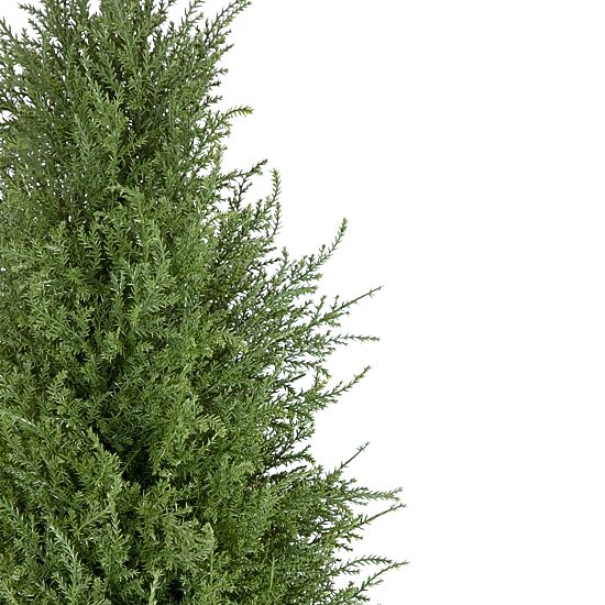 Northlight 5ft Real Touch™ Cedar Pine Arborvitae In Urn Style Pot Artificial Tree