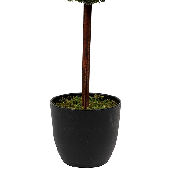 Northlight 4ft Two-Tone Boxwood With Round Pot Artificial Plant