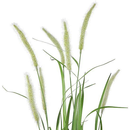 Northlight 36in Potted Green Onion Artificial Plant